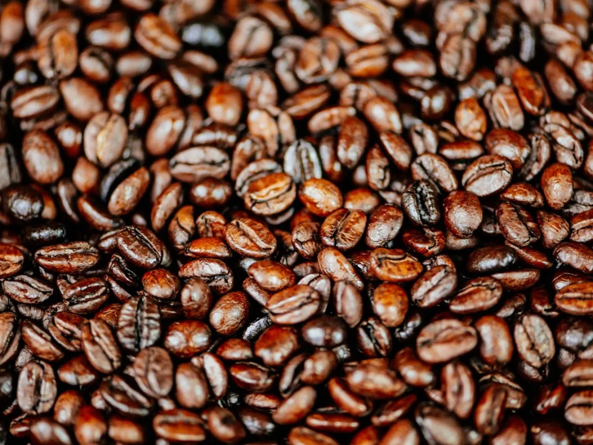 Как выбрать лучший свежеобжаренный кофе